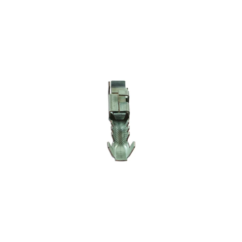 fngpgk0of2w