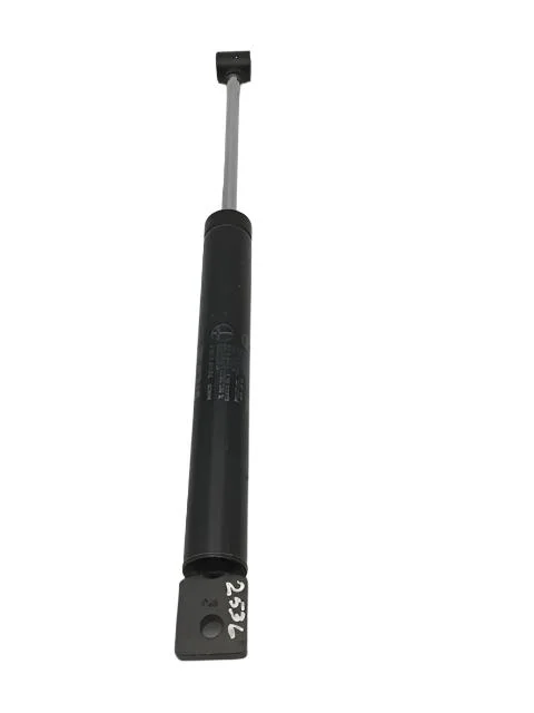 rn43fhkusk1